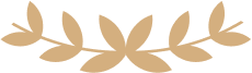 vector