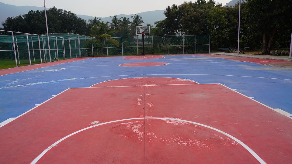 03 - Basket Ball.jpg